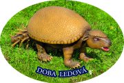 vyroba magnetek glyptodon
