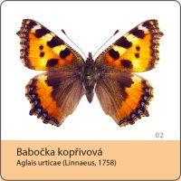 vyroba magnetek - magnetka motyl - babocka koprivova
